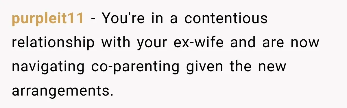 purpleit11 − You're in a contentious relationship with your ex-wife and are now navigating co-parenting given the new arrangements.