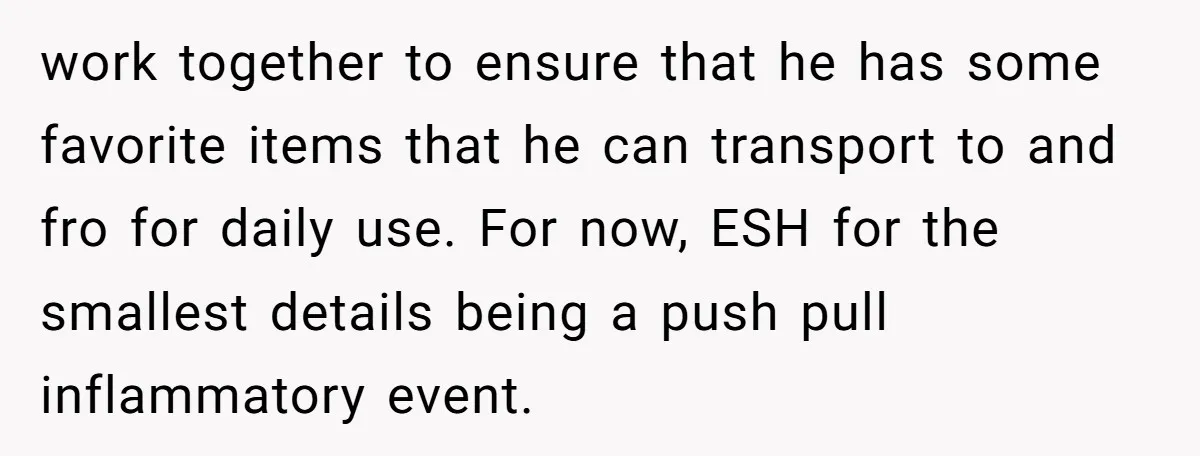 work together to ensure that he has some favorite items that he can transport to and fro for daily use. For now, ESH for the smallest details being a push...