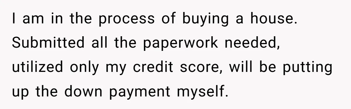 I am in the process of buying a house. Submitted all the paperwork needed, utilized only my credit score, will be putting up the down payment myself.