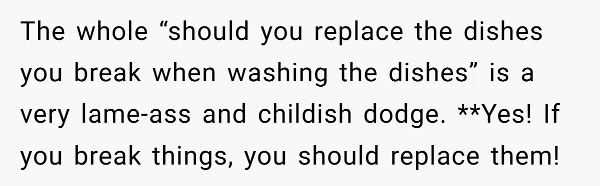 The whole “should you replace the dishes you break when washing the dishes” is a very lame-ass and childish dodge. **Yes! If you break things, you should replace them!