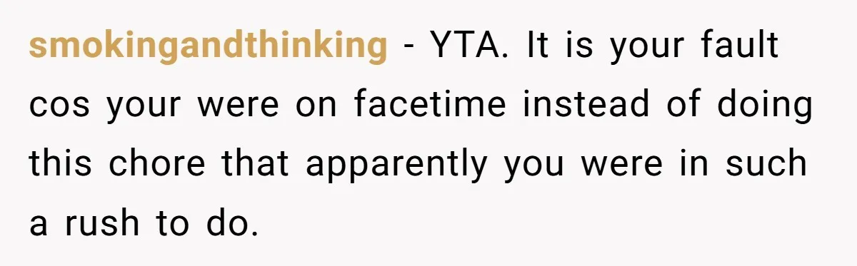 smokingandthinking − YTA. It is your fault cos your were on facetime instead of doing this chore that apparently you were in such a rush to do.