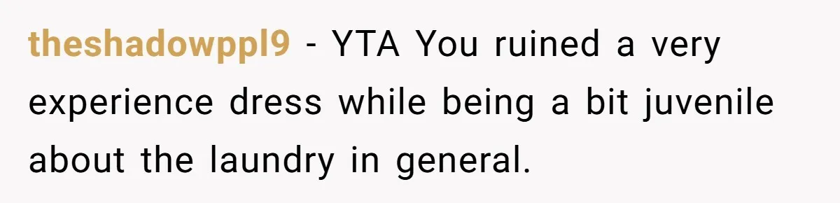 theshadowppl9 − YTA You ruined a very experience dress while being a bit juvenile about the laundry in general.