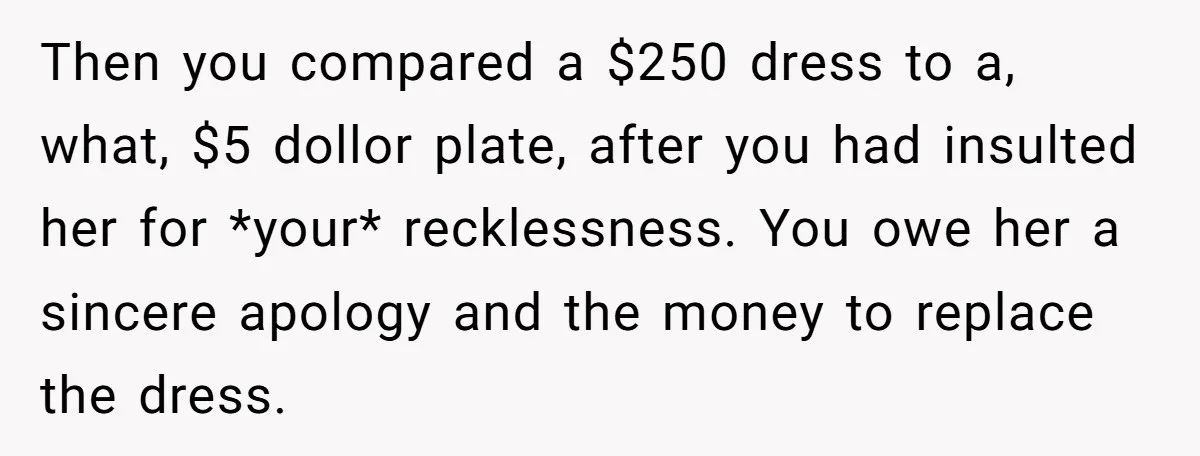 Then you compared a $250 dress to a, what, $5 dollor plate, after you had insulted her for *your* recklessness. You owe her a sincere apology and the money to...
