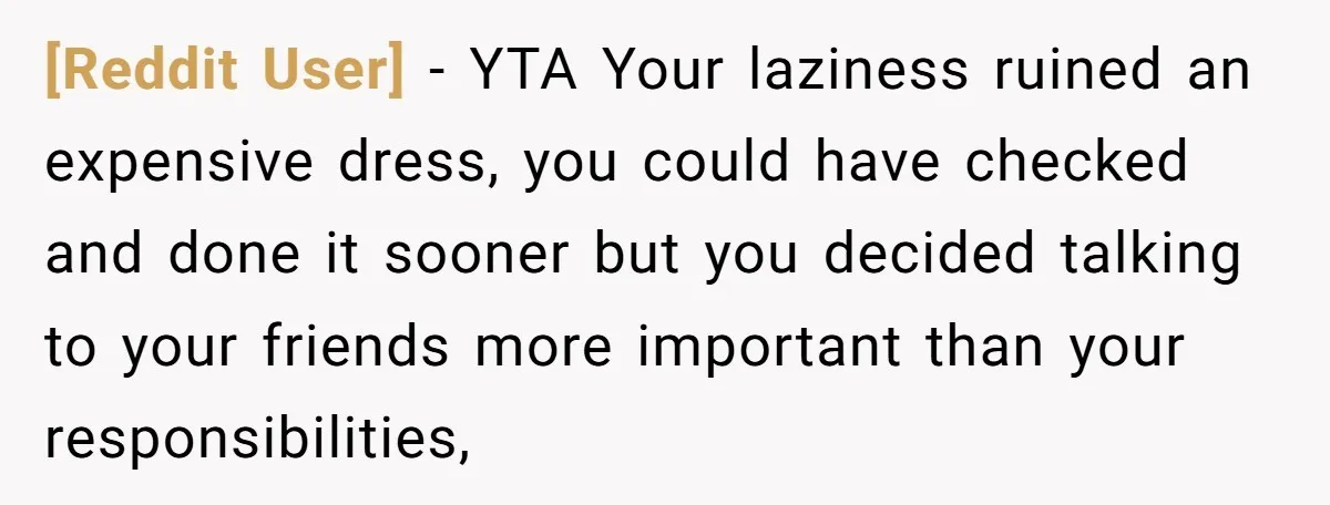 [Reddit User] − YTA Your laziness ruined an expensive dress, you could have checked and done it sooner but you decided talking to your friends more important than your responsibilities,