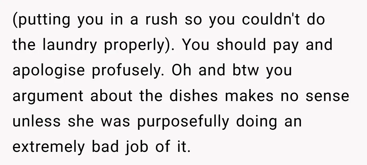 (putting you in a rush so you couldn't do the laundry properly). You should pay and apologise profusely. Oh and btw you argument about the dishes makes no sense unless...