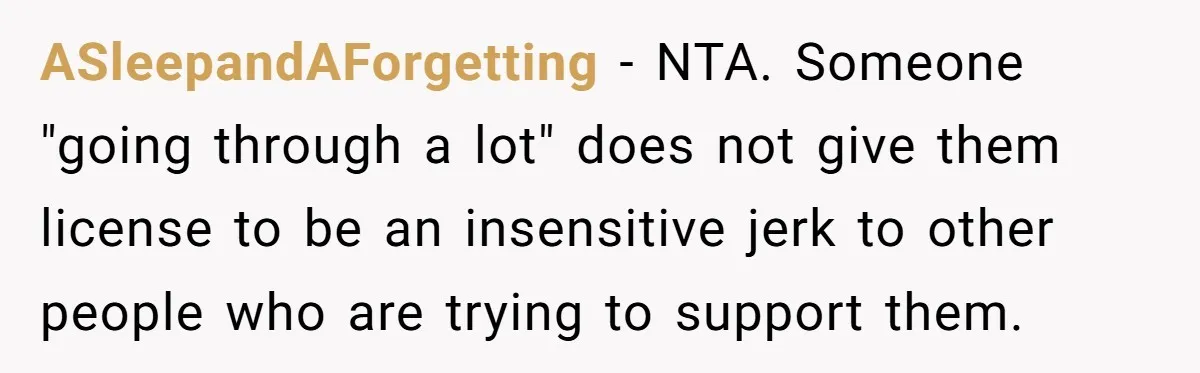 ASleepandAForgetting − NTA. Someone "going through a lot" does not give them license to be an insensitive jerk to other people who are trying to support them.