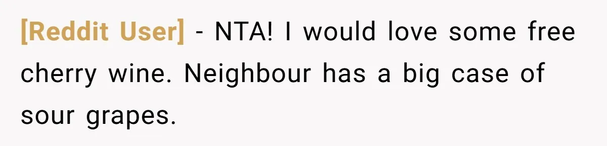 [Reddit User] − NTA! I would love some free cherry wine. Neighbour has a big case of sour grapes.