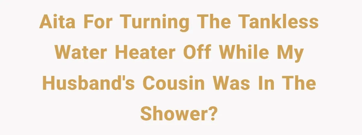 AITA for turning the tankless water heater off while my husband's cousin was in the shower?