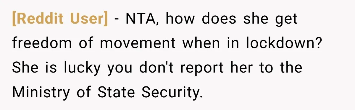 [Reddit User] − NTA, how does she get freedom of movement when in lockdown? She is lucky you don't report her to the Ministry of State Security.
