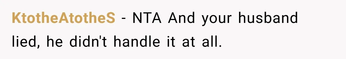 KtotheAtotheS − NTA And your husband lied, he didn't handle it at all.