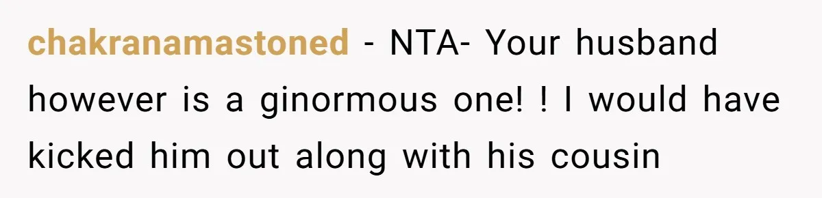 chakranamastoned − NTA- Your husband however is a ginormous one! ! I would have kicked him out along with his cousin