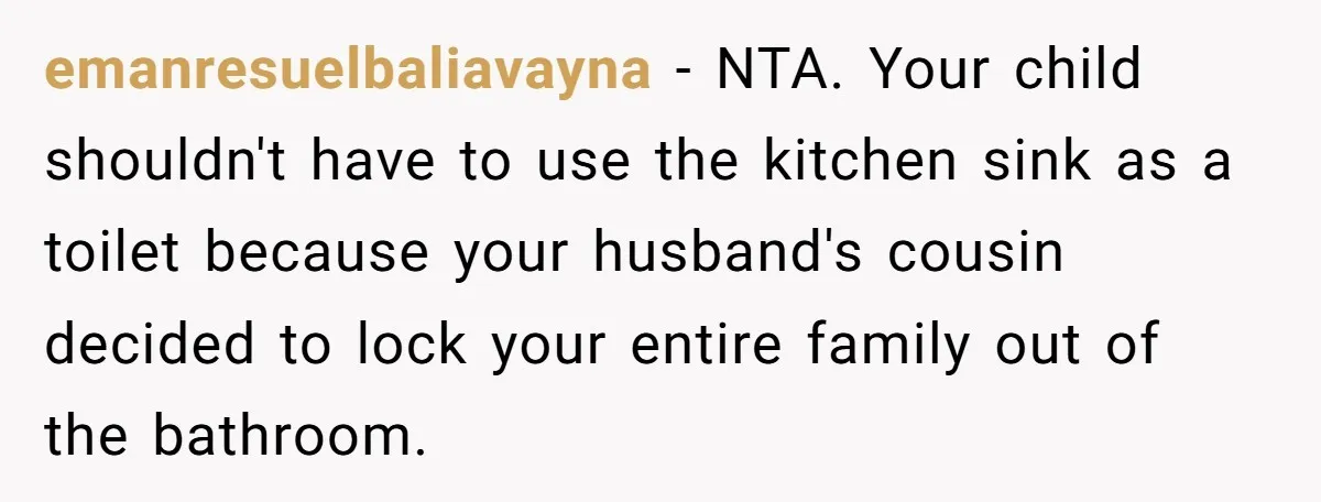emanresuelbaliavayna − NTA. Your child shouldn't have to use the kitchen sink as a toilet because your husband's cousin decided to lock your entire family out of the bathroom.