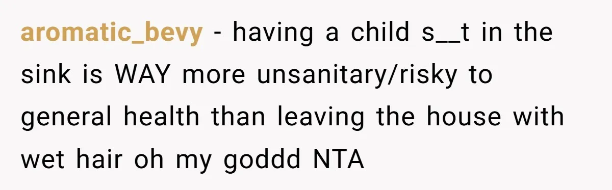 aromatic_bevy − having a child s__t in the sink is WAY more unsanitary/risky to general health than leaving the house with wet hair oh my goddd NTA