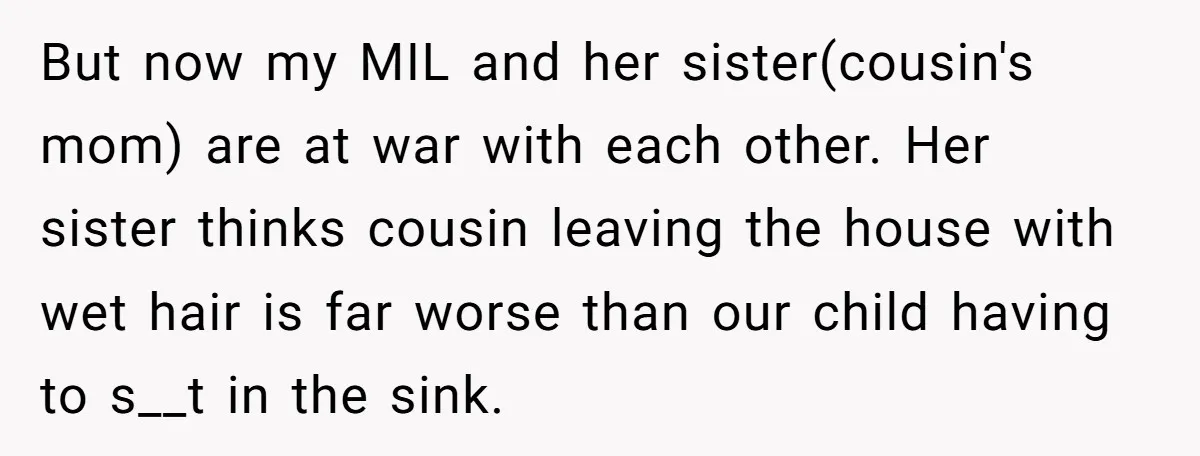 But now my MIL and her sister(cousin's mom) are at war with each other. Her sister thinks cousin leaving the house with wet hair is far worse than our child...