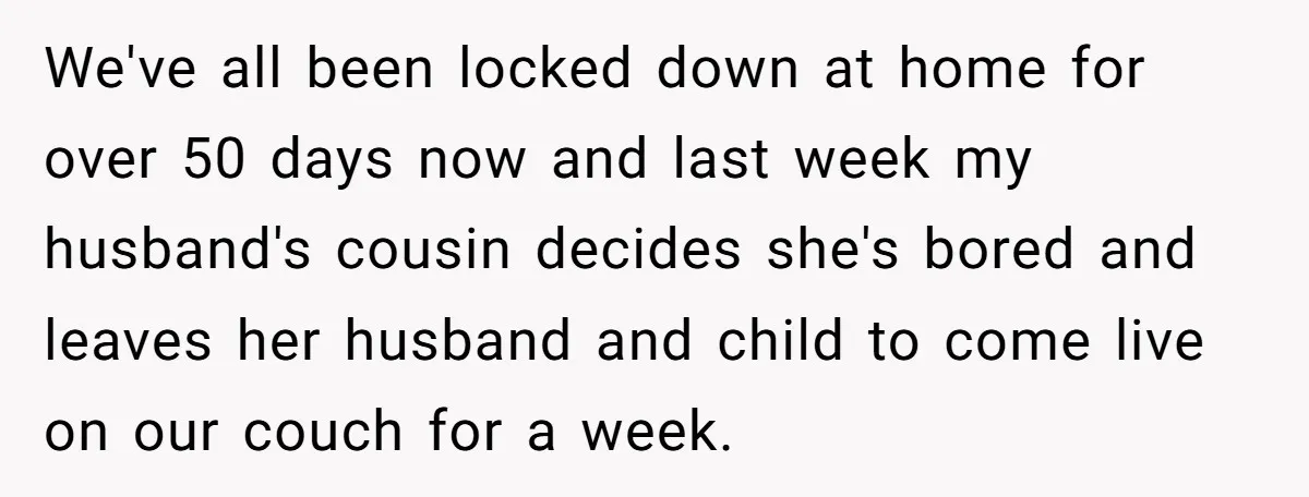 We've all been locked down at home for over 50 days now and last week my husband's cousin decides she's bored and leaves her husband and child to come live...