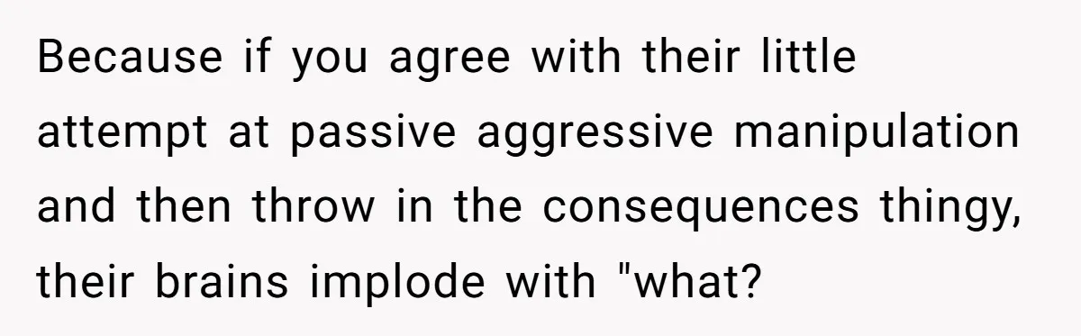 Because if you agree with their little attempt at passive aggressive manipulation and then throw in the consequences thingy, their brains implode with "what?
