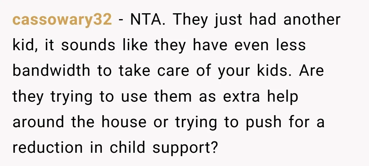 cassowary32 − NTA. They just had another kid, it sounds like they have even less bandwidth to take care of your kids. Are they trying to use them as extra...