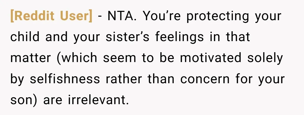 [Reddit User] − NTA. You’re protecting your child and your sister’s feelings in that matter (which seem to be motivated solely by selfishness rather than concern for your son) are...
