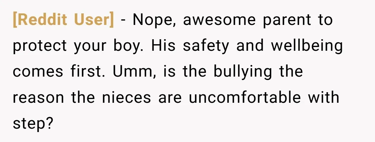 [Reddit User] − Nope, awesome parent to protect your boy. His safety and wellbeing comes first. Umm, is the bullying the reason the nieces are uncomfortable with step?