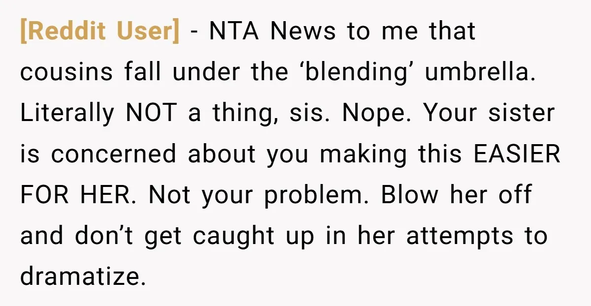 [Reddit User] − NTA News to me that cousins fall under the ‘blending’ umbrella. Literally NOT a thing, sis. Nope. Your sister is concerned about you making this EASIER FOR...
