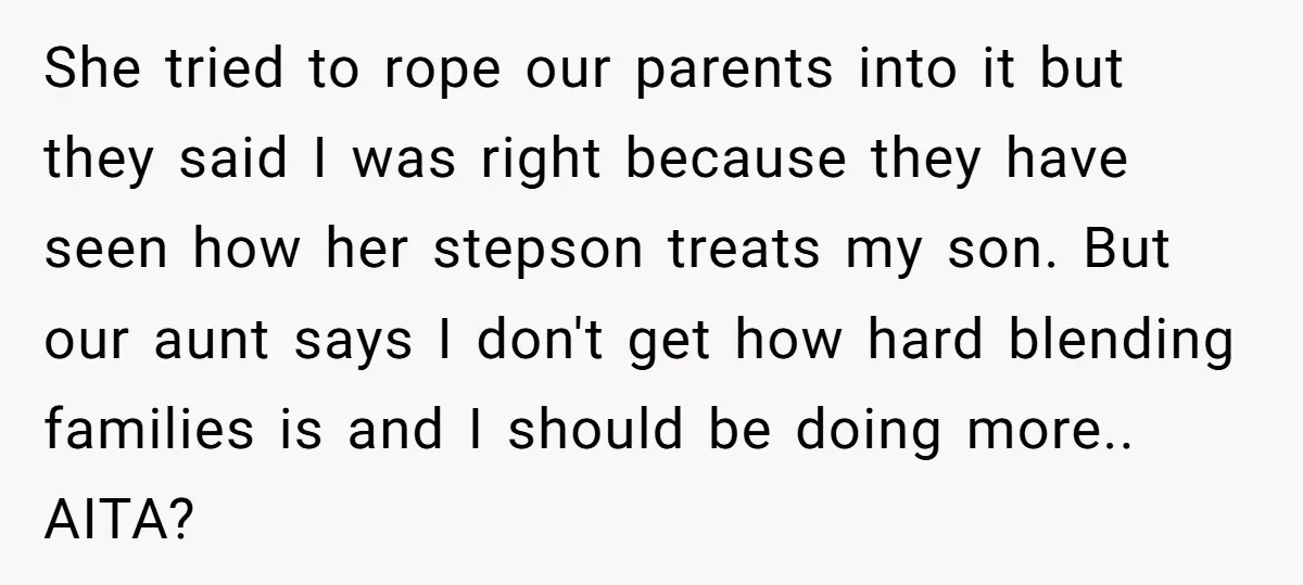 She tried to rope our parents into it but they said I was right because they have seen how her stepson treats my son. But our aunt says I don't...
