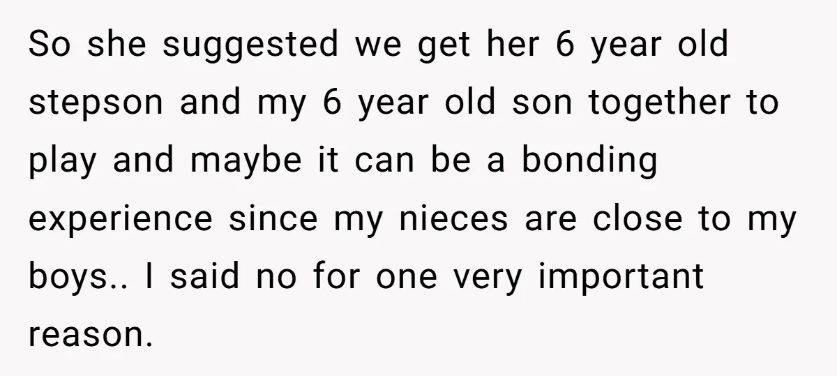 So she suggested we get her 6 year old stepson and my 6 year old son together to play and maybe it can be a bonding experience since my nieces...