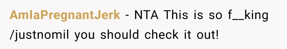 AmIaPregnantJerk − NTA This is so f__king /justnomil you should check it out!