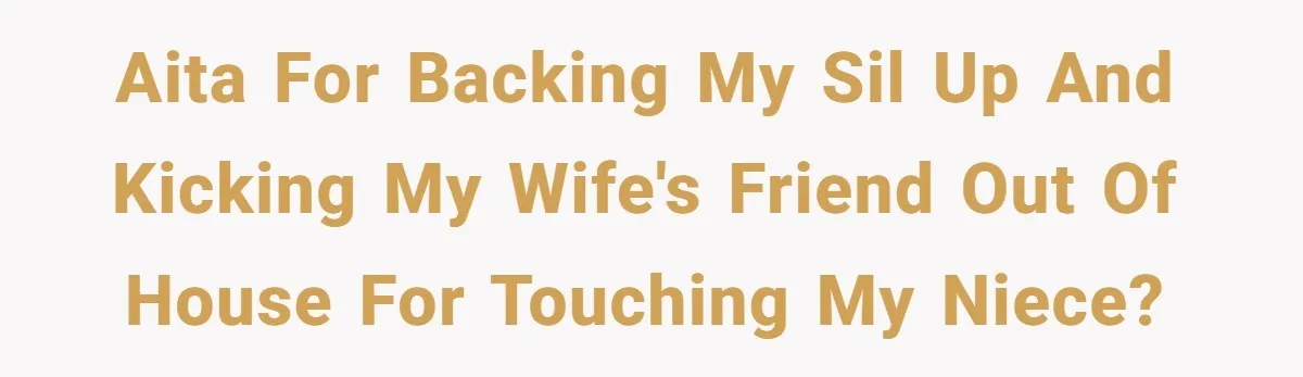 Aita for backing my sil up and kicking my wife's friend out of house for touching my niece?