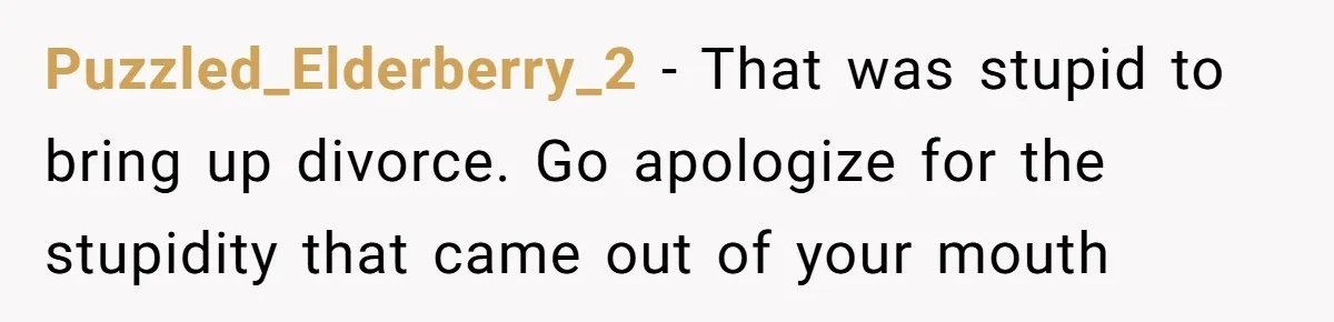 Puzzled_Elderberry_2 − That was stupid to bring up divorce. Go apologize for the stupidity that came out of your mouth