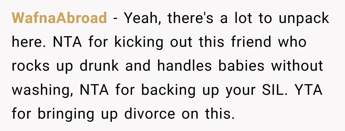 WafnaAbroad − Yeah, there's a lot to unpack here. NTA for kicking out this friend who rocks up drunk and handles babies without washing, NTA for backing up your SIL....