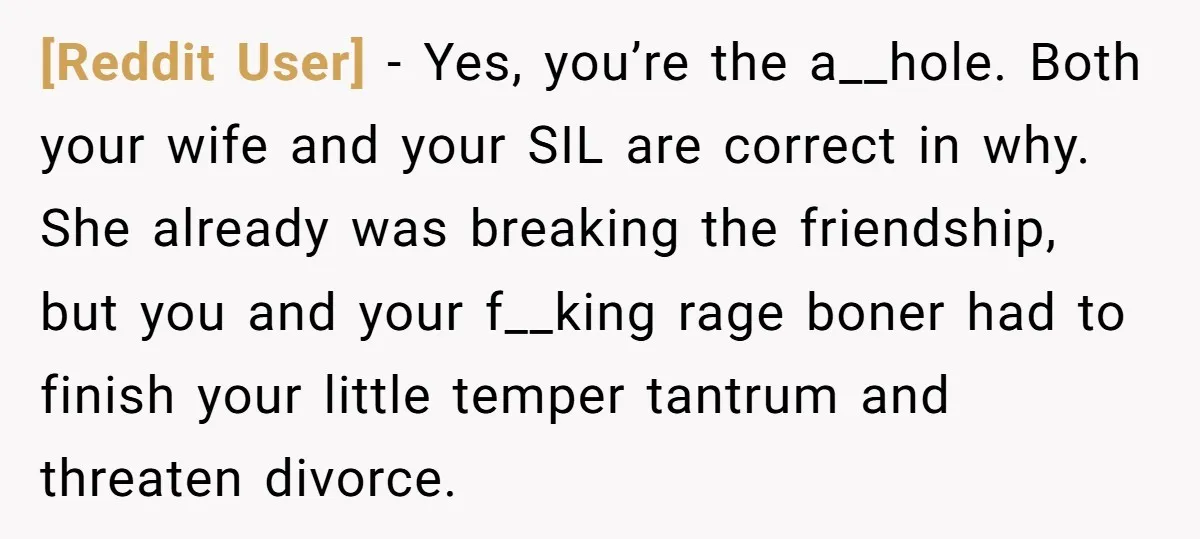 [Reddit User] − Yes, you’re the a__hole. Both your wife and your SIL are correct in why. She already was breaking the friendship, but you and your f__king rage boner...