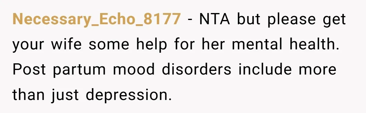 Necessary_Echo_8177 − NTA but please get your wife some help for her mental health. Post partum mood disorders include more than just depression.