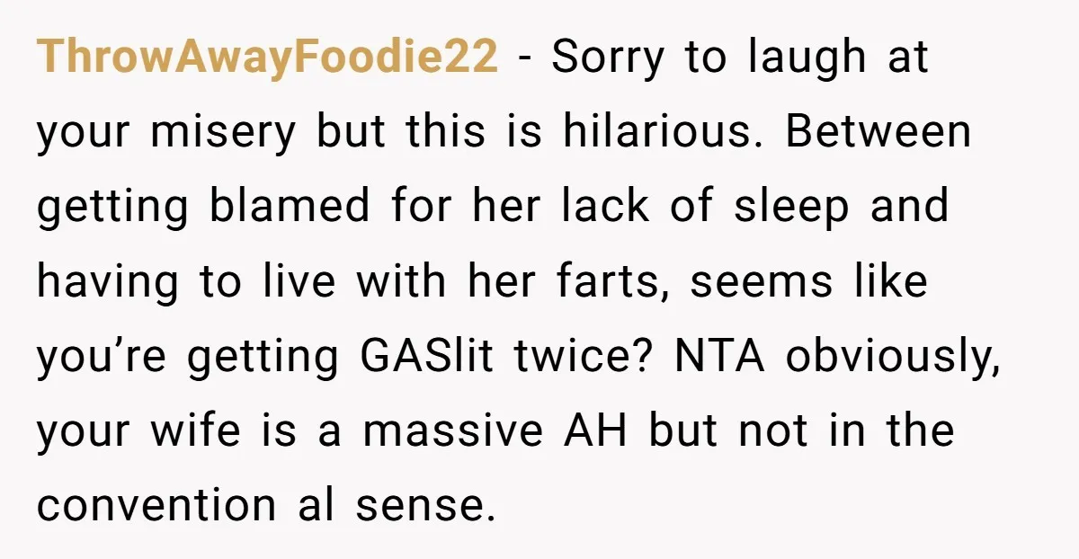 ThrowAwayFoodie22 − Sorry to laugh at your misery but this is hilarious. Between getting blamed for her lack of sleep and having to live with her farts, seems like you’re...