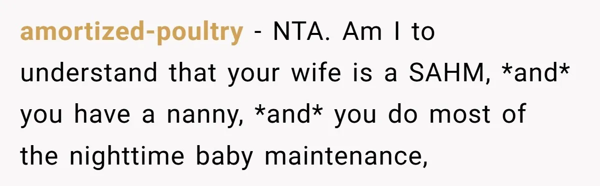 amortized-poultry − NTA. Am I to understand that your wife is a SAHM, *and* you have a nanny, *and* you do most of the nighttime baby maintenance,