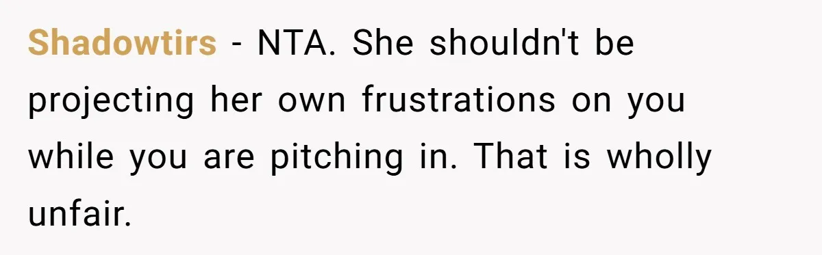 Shadowtirs − NTA. She shouldn't be projecting her own frustrations on you while you are pitching in. That is wholly unfair.
