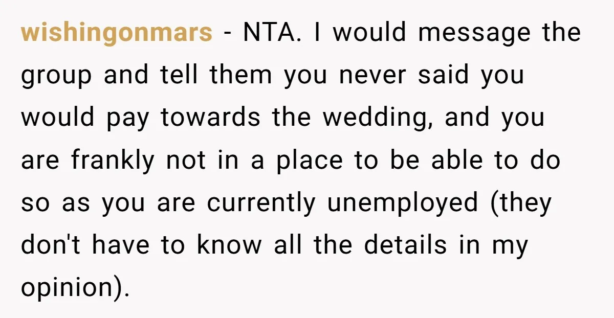 wishingonmars − NTA. I would message the group and tell them you never said you would pay towards the wedding, and you are frankly not in a place to be...