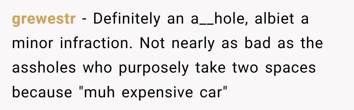 grewestr − Definitely an a__hole, albiet a minor infraction. Not nearly as bad as the assholes who purposely take two spaces because "muh expensive car"