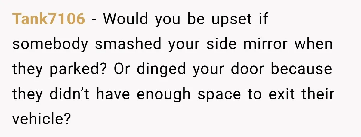 Tank7106 − Would you be upset if somebody smashed your side mirror when they parked? Or dinged your door because they didn’t have enough space to exit their vehicle?