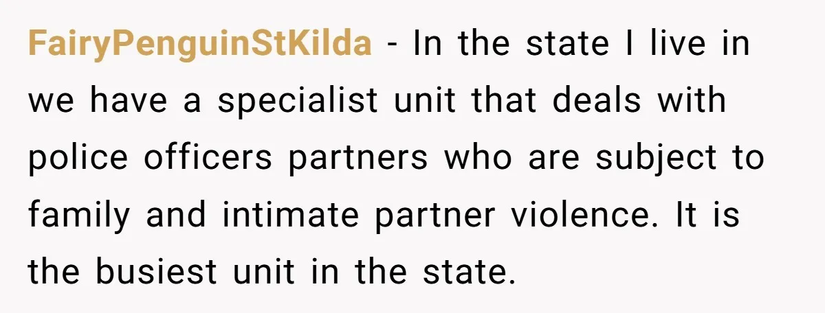 FairyPenguinStKilda − In the state I live in we have a specialist unit that deals with police officers partners who are subject to family and intimate partner violence. It is...