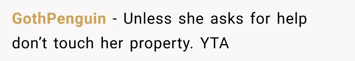 GothPenguin − Unless she asks for help don’t touch her property. YTA