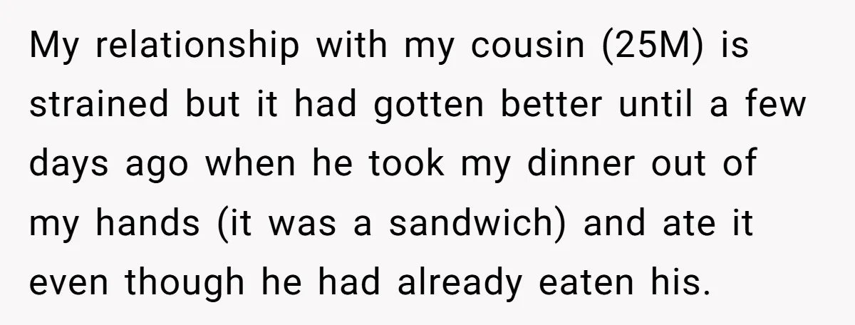 My relationship with my cousin (25M) is strained but it had gotten better until a few days ago when he took my dinner out of my hands (it was a...
