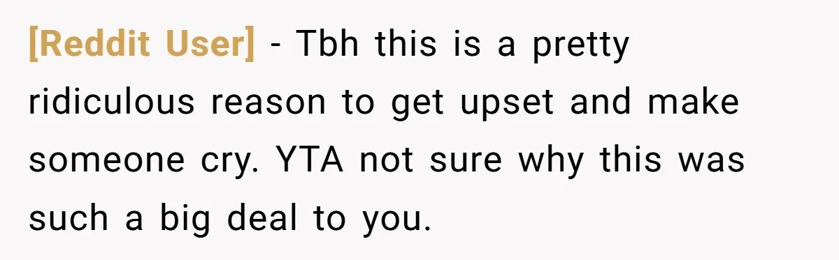 [Reddit User] − Tbh this is a pretty ridiculous reason to get upset and make someone cry. YTA not sure why this was such a big deal to you.