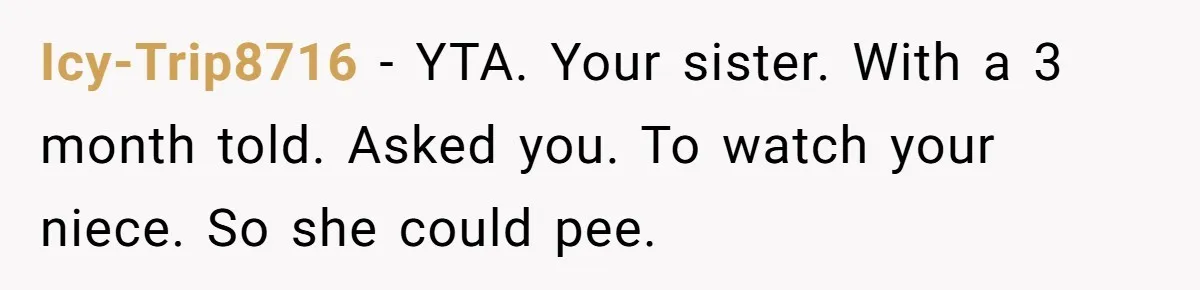 Icy-Trip8716 − YTA. Your sister. With a 3 month told. Asked you. To watch your niece. So she could pee.