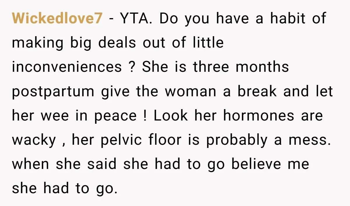 Wickedlove7 − YTA. Do you have a habit of making big deals out of little inconveniences ? She is three months postpartum give the woman a break and let her...
