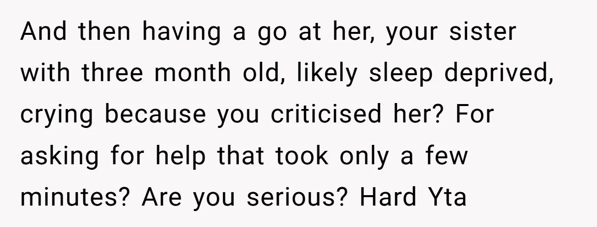 And then having a go at her, your sister with three month old, likely sleep deprived, crying because you criticised her? For asking for help that took only a few...