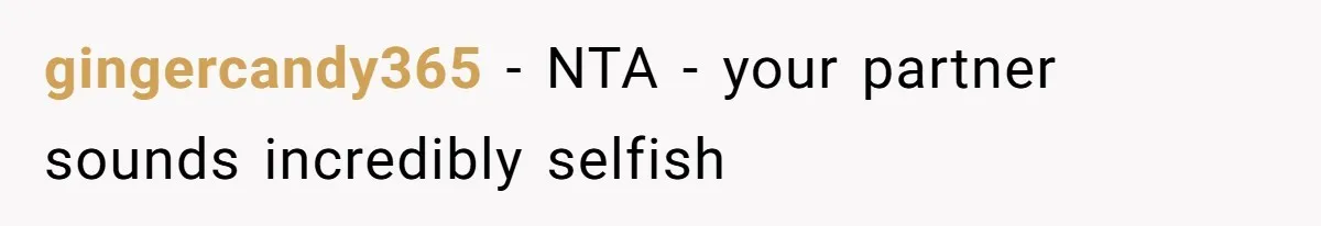 gingercandy365 − NTA - your partner sounds incredibly selfish