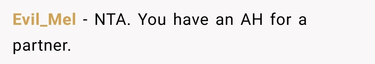 Evil_Mel − NTA. You have an AH for a partner.