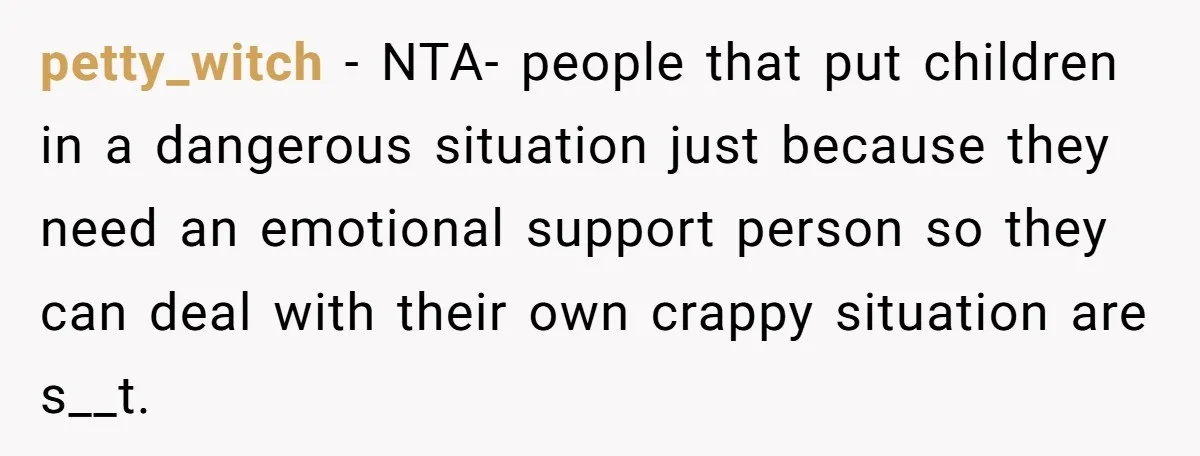 petty_witch − NTA- people that put children in a dangerous situation just because they need an emotional support person so they can deal with their own crappy situation are s__t.