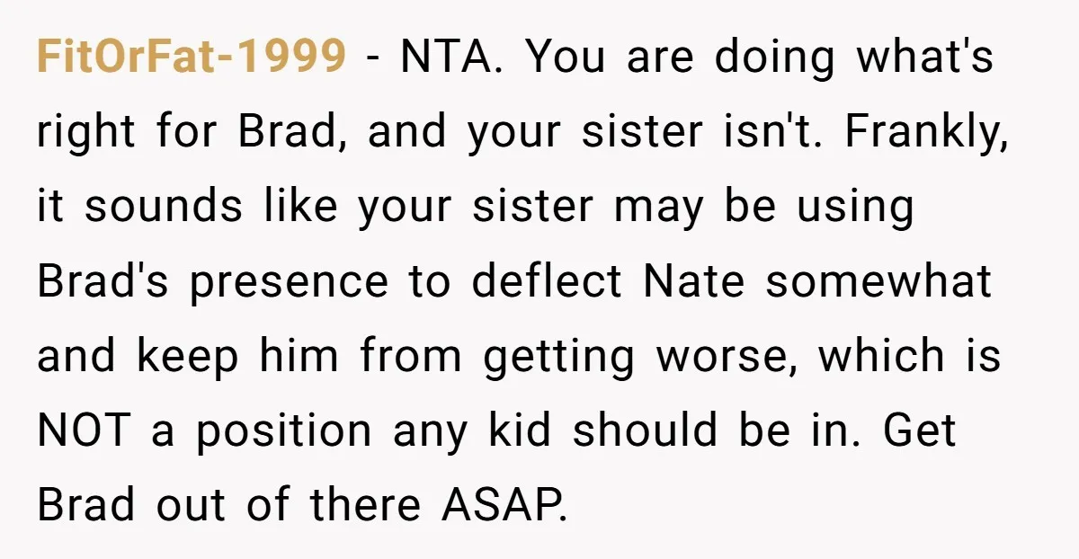 FitOrFat-1999 − NTA. You are doing what's right for Brad, and your sister isn't. Frankly, it sounds like your sister may be using Brad's presence to deflect Nate somewhat and...