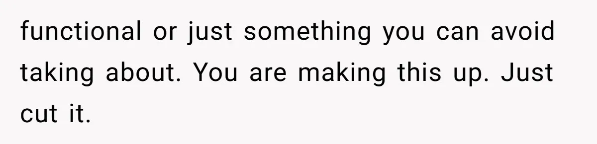 functional or just something you can avoid taking about. You are making this up. Just cut it.